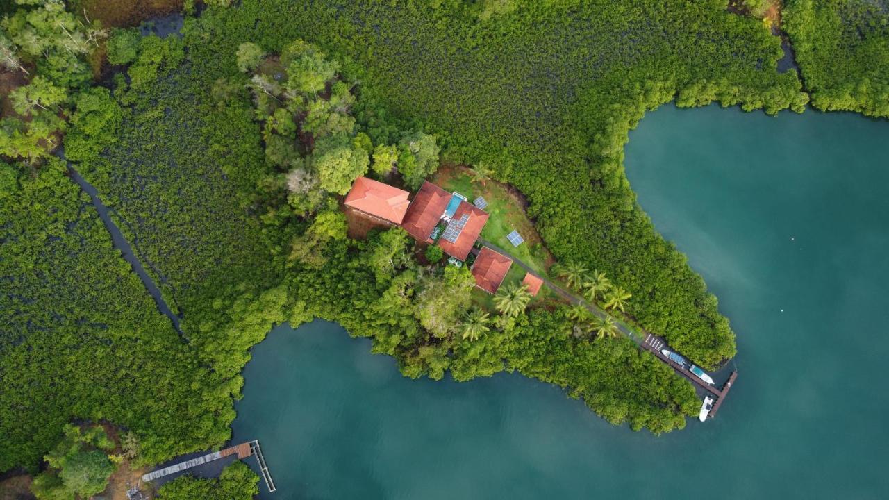 Casa Marlin Bed and Breakfast Bocas del Toro Buitenkant foto