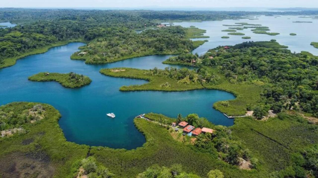 Casa Marlin Bed and Breakfast Bocas del Toro Buitenkant foto