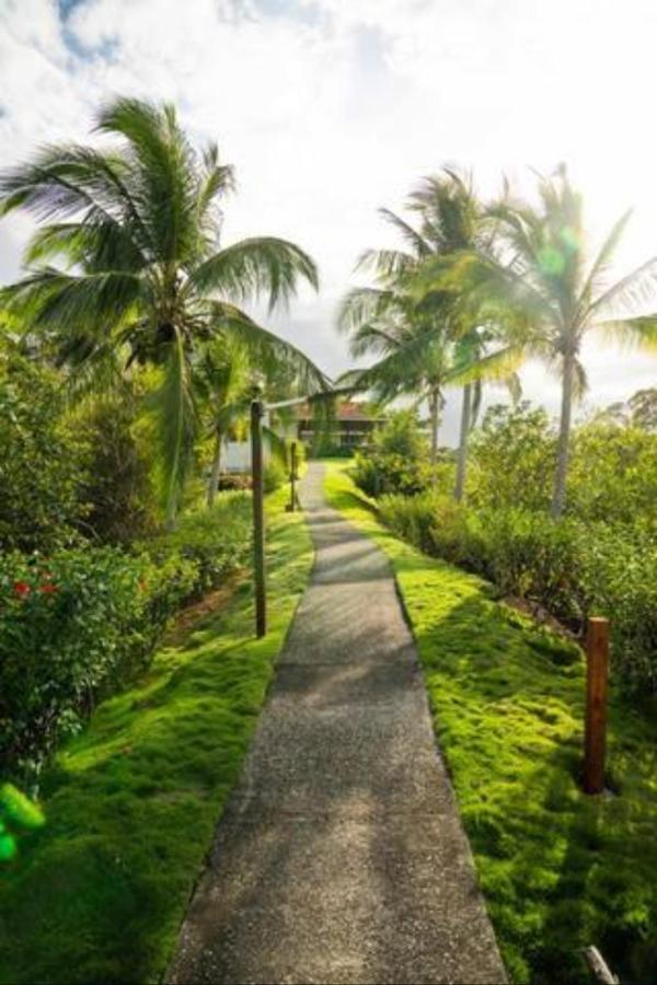 Casa Marlin Bed and Breakfast Bocas del Toro Buitenkant foto